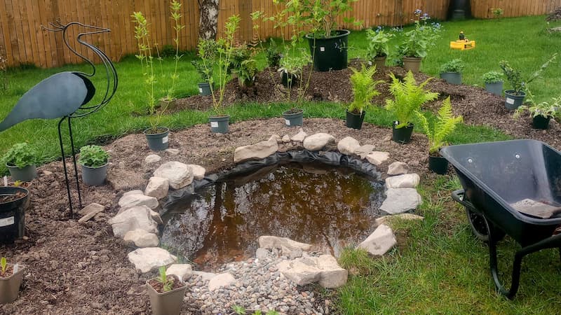 Carus Green New Build pond