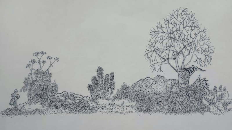 Planting plan visiualisation