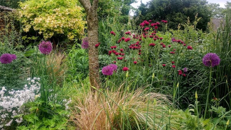 Spring container combimation